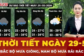 Dự báo thời tiết ngày 29-5: Bắc Bộ mưa giông, Nam Bộ mưa rải rác