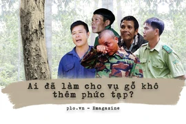 Ai đã làm cho vụ cưa gỗ khô thêm phức tạp?