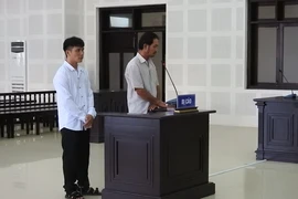 Lãnh án tù vì... trộm cây sứ về chưng Tết