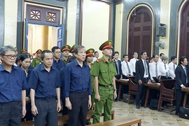 Đại gia Hứa Thị Phấn lãnh 30 năm tù