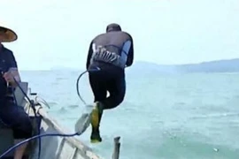 Lo nhiễm độc đồng, thợ lặn ở Formosa tiếp tục đi xét nghiệm
