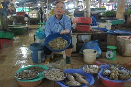Hàm lượng kim loại nặng trong mẫu hải sản ở Hà Tĩnh trong ngưỡng cho phép