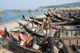 Hà Tĩnh tiếp tục phát hơn 900 tấn gạo cho hơn 10.000 gia đình ngư dân