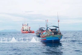 Hơn 1.000 ngư dân trên 135 tàu đánh cá ra khơi tìm kiếm Thượng tá Khải