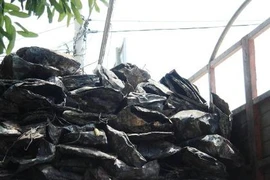 Rác thải đốt ở Nghệ An không phải của Formosa Hà Tĩnh