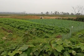 Bị đạn bắn găm vào người 9 ngày, chưa thể mổ lấy ra
