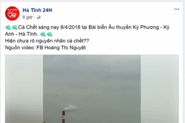 Xác minh thông tin cá chết gần nhà máy Formosa