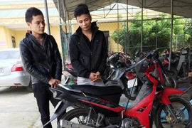 Con rể trộm chó để bán cho mẹ vợ