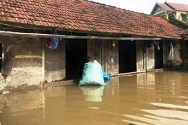 Mưa lớn làm vỡ kênh gây ngập ở Nghệ An