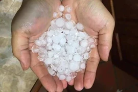 Bất ngờ xảy ra mưa đá kèm lốc xoáy mùng 1 tết 