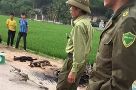 Một nghi phạm trộm chó bị dân đánh chết, đốt xe máy