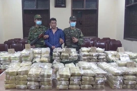 Chặn bắt ô tô chở gần 230 kg ma túy trên đường về Hà Nội