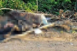 Phát hiện thi thể người đàn ông cháy sém gần nghĩa trang 