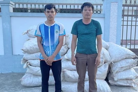 Phó Thủ tướng gửi Thư khen vụ bắt 2,5 tấn vảy tê tê và 2,1 tấn gỗ trắc