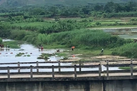 Đạp xe ra sông tắm, đau lòng đuối nước cả hai anh em 11 và 7 tuổi