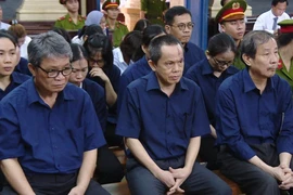 Vụ bà Phấn: Luật sư đề nghị công bố chứng cứ quan trọng