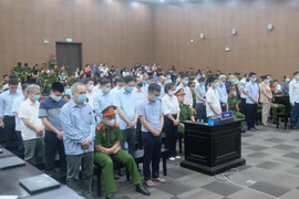 Tạm ngừng phiên tòa chuyến bay giải cứu để bị cáo nộp chứng cứ khắc phục hậu quả: Đúng luật!