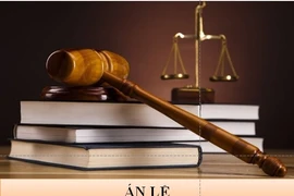Ban hành công văn giải thích án lệ có được không?