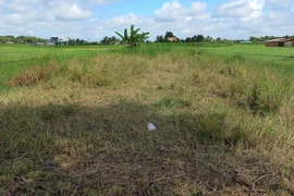 Rút kinh nghiệm cách giải quyết vụ án gây thiệt hại cho ngân sách Nhà nước