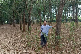 Nguyên đơn đề nghị giám đốc thẩm vụ 'Giấy hợp tác làm ăn hay hợp đồng chuyển nhượng quyền sử dụng đất?'