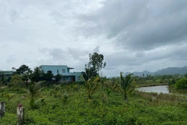 Đề xuất án lệ về bồi thường, hỗ trợ đối với nhà mua thanh lý trên đất của cơ quan nhà nước