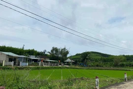Chuyên gia nêu lưu ý quan trọng khi ký hợp đồng ủy quyền trong giao dịch nhà đất