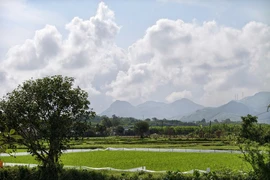 Bị hủy án vì thay hội thẩm nhưng không xét xử lại từ đầu