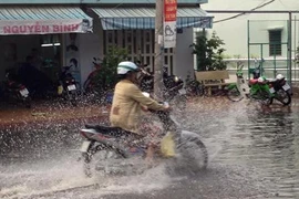 Xuất hiện 'cơn mưa vàng' ở Cần Thơ