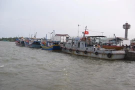 Người miền Tây đi Côn Đảo bằng tàu cao tốc