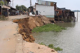 An Giang có hố xoáy rộng 180 m ở giữa sông Vàm Nao​