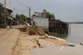 14 nhà trôi sông, An Giang ban bố tình trạng khẩn cấp