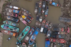 Chạy đua với thời gian ứng phó bão Tembin ở Sóc Trăng