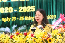Bà Võ Thị Ánh Xuân tái đắc cử Bí thư Tỉnh ủy An Giang