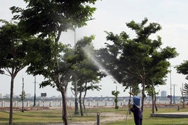 Phú Yên rà soát, báo cáo các dự án cây xanh theo yêu cầu của Bộ Công an