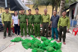 Cà Mau: Bỏ chạy để lại vỏ lãi và 22 con chồn hương khi gặp công an