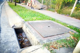 Góc ảnh: Những vỉ sắt không cánh mà bay