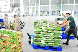 Giải mã “ôsin của nền kinh tế” Việt còn yếu