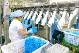 Lãi hơn 500 tỉ đồng từ găng tay y tế xuất ngoại