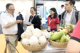 Bài học từ vụ siêu tàu mắc kẹt ở Suez với công ty Việt