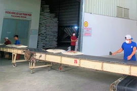 Gạo Việt Nam luôn nằm trong tốp đầu về sản lượng xuất khẩu. Ảnh: T.UYÊN