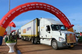Chuyến hàng sầu riêng của Việt Nam xuất khẩu chính ngạch sang Trung Quốc. Ảnh: TTXVN
