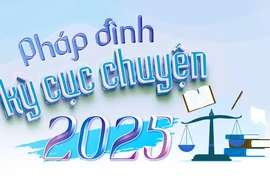 Pháp đình kỳ cục chuyện 2025