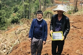 Nguyễn Doãn Trung và Phan Văn Thanh bị bắt giữ vì hành vi phá 1,9 ha rừng
