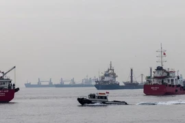 Nhóm tàu chở nông sản qua Biển Đen cập bến TP Istanbul (Thổ Nhĩ Kỳ). Ảnh: REUTERS