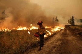 Lính cứu hỏa ra sức dập lửa tại Alberta, Canada. Ảnh: REUTERS