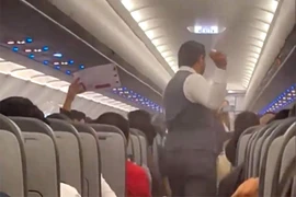Video: Hoãn chuyến bay hơn 2 giờ để 'chống chọi' muỗi trong khoang khách 