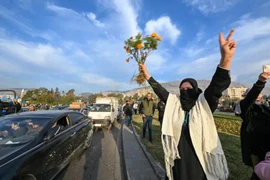 Thế giới phản ứng trái chiều sau loạt diễn biến nóng nội chiến Syria 