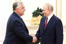 Quan điểm Nga, Ukraine về đề xuất ngừng bắn Giáng sinh