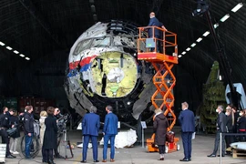 ICAO phán quyết Nga chịu trách nhiệm vụ máy bay MH17 bị bắn hạ