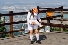 Hàn Quốc đau đầu đối phó ‘bọ tình yêu’
